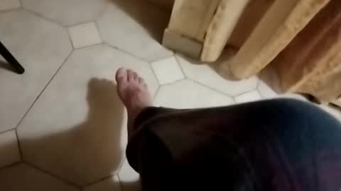 dthedog12 online show from October 2025 03:10:02 AM