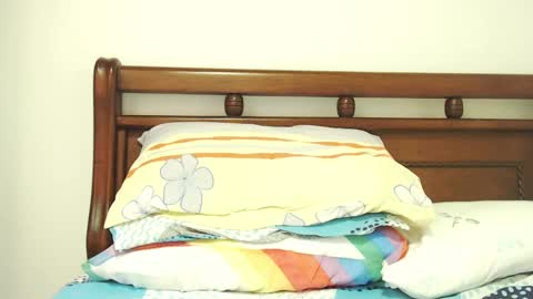 S.K..maorisa98 VIDEOS SEXHARD PPBOY 55TASTEPROTEIN online show from March 2025 02:01:02 PM