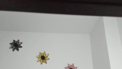 Snapshot of dulce_roberts_ chatting on January 2025 02:08:02 PM Dulce online show from January 2025 02:08:02 PM