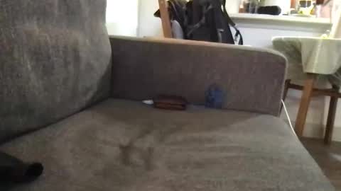 dulcemelo online show from March 2026 05:05:02 PM