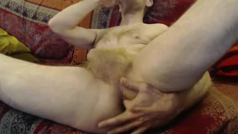 dunant76 online show from March 2026 07:13:01 AM