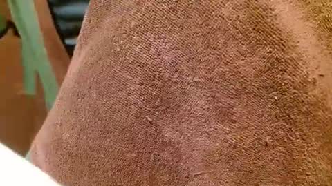 dunany101 online show from March 2025 12:48:01 AM