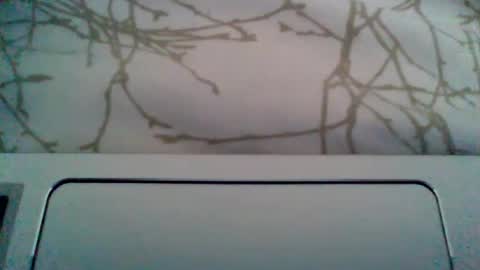 Snapshot of durocostante chatting on June 2026 10:46:02 AM Duro per te.... Hard for U online show from June 2026 10:46:02 AM