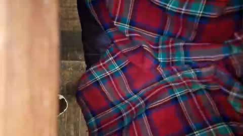 dVe1oPe online show from April 2026 10:19:02 AM