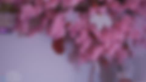 Dwayne xx online show from December 2024 08:47:02 PM