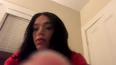 Dynasty online show from December 2024 02:19:02 AM