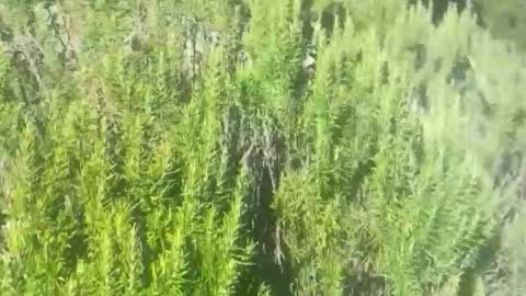 ebnk15 online show from October 2025 01:12:01 PM