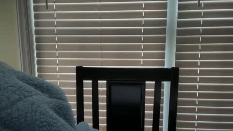 americnbarbie online show from March 2025 12:48:02 PM