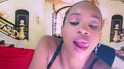 Nova online show from February 2025 11:03:02 PM