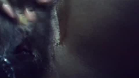 Snapshot of ebonykiki chatting on January 2025 11:36:02 PM ebonykiki online show from January 2025 11:36:02 PM