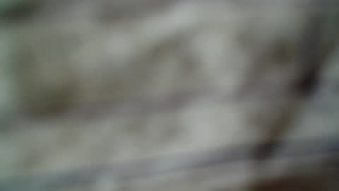 eddfox001 online show from June 2026 04:47:01 AM