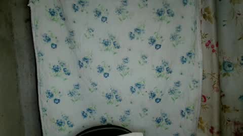 eddfox001 online show from July 2026 09:13:01 AM