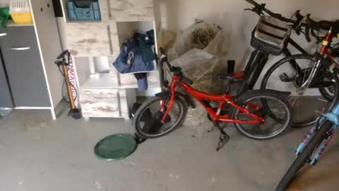 Snapshot of edelholz87 chatting on July 2026 06:47:02 PM edelholz87 online show from July 2026 06:47:02 PM