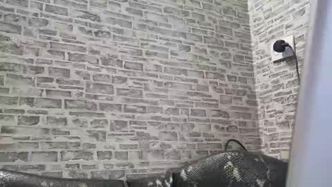 edithmanning online show from February 2025 01:55:02 PM