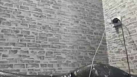 edithmanning online show from February 2025 02:10:02 PM