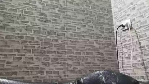 edithmanning online show from March 2025 03:45:02 PM