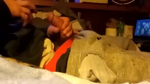 edmore1215 online show from January 2025 06:56:01 AM