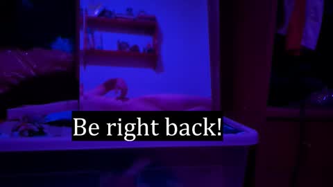 Alex online show from February 2026 12:25:02 AM