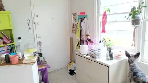 ejrabloom online show from April 2026 05:10:01 PM