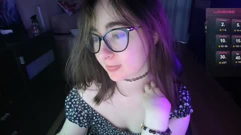 If you like it when I meow give me a thumbs up online show from December 2024 12:17:02 PM