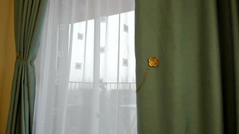 Ela online show from January 2025 10:50:02 AM