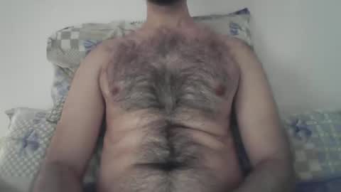 Elastik6 online show from January 2025 11:55:01 AM