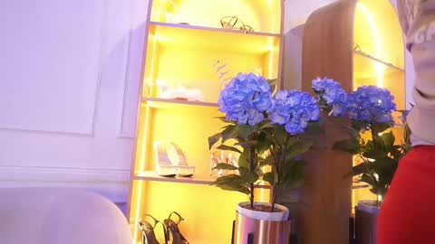 Elasummeer online show from November 2025 12:04:02 PM