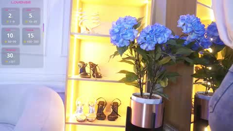 Elasummeer online show from November 2025 12:00:02 PM