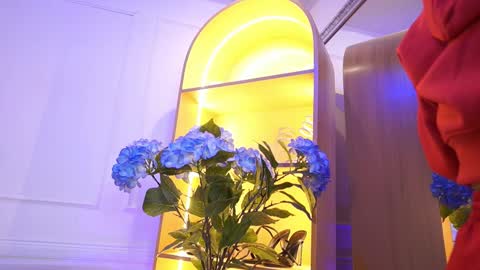 Elasummeer online show from January 2026 11:59:02 AM