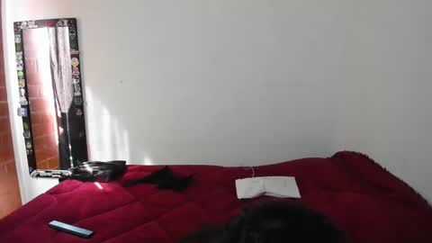 Electradevis2 online show from January 2025 02:17:02 PM