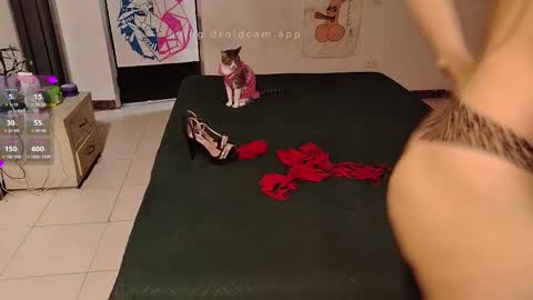 Elektra and Konan online show from September 2025 12:06:01 PM