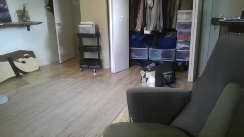 fox online show from December 2024 04:58:01 PM