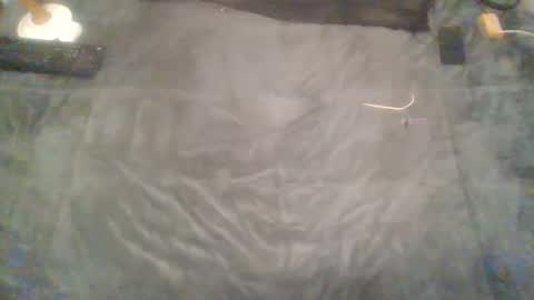 elgsslt online show from February 2025 02:07:01 PM