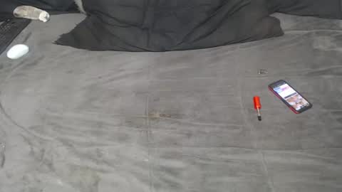 elgsslt online show from September 2025 02:19:01 PM