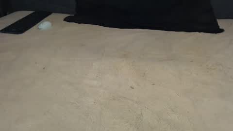 elgsslt online show from March 2026 12:19:01 PM