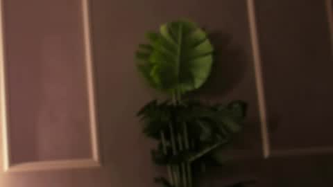 Eli online show from February 2025 04:48:02 PM