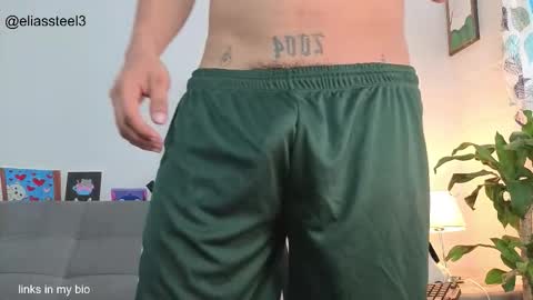 Snapshot of elias_steel1 chatting on February 2026 02:01:02 PM elias online show from February 2026 02:01:02 PM