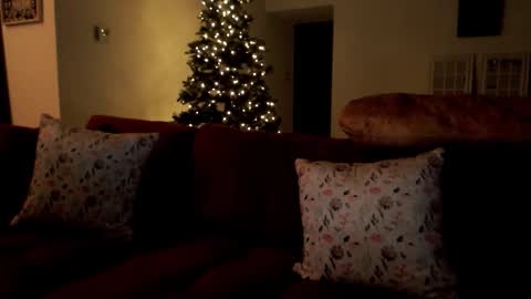 Elinah online show from December 2025 10:53:01 AM