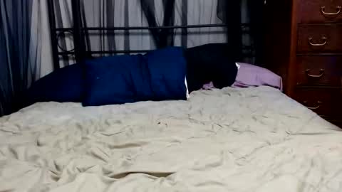 Elina online show from May 2026 02:41:02 AM