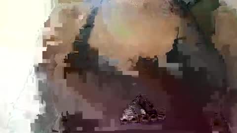 eliterd online show from October 2025 08:47:01 PM