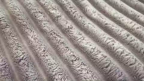 eliterd online show from November 2025 07:39:02 PM