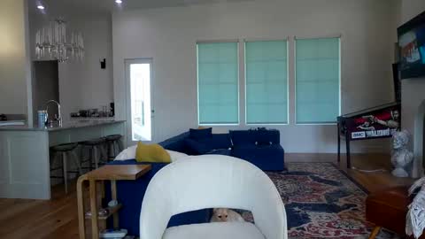 Snapshot of eliza_lizbethx chatting on November 2025 07:46:02 PM Liz online show from November 2025 07:46:02 PM