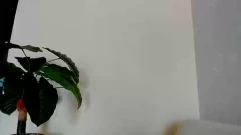 My name is ElizaPVT is open online show from September 2025 09:25:02 PM