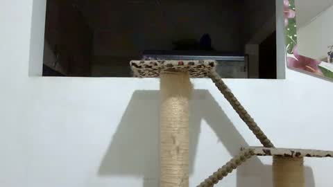 Elizabeth Martinez  online show from January 2025 02:03:01 AM