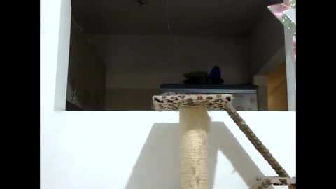 Elizabeth Martinez  online show from January 2025 08:09:01 PM