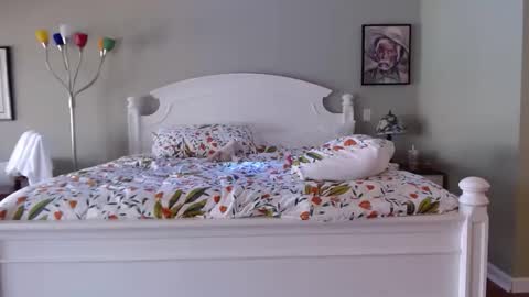 ellalowe online show from March 2026 06:44:02 PM