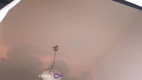 elliefrost online show from February 2025 12:37:02 AM