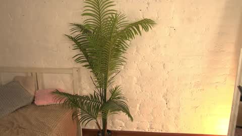 elliefrost online show from March 2025 03:26:02 AM