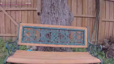 Ella Bella Bo Bella online show from September 2025 05:13:02 PM