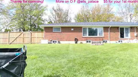 Snapshot of ells_palace chatting on May 2026 01:52:02 PM Ella Bella Bo Bella online show from May 2026 01:52:02 PM